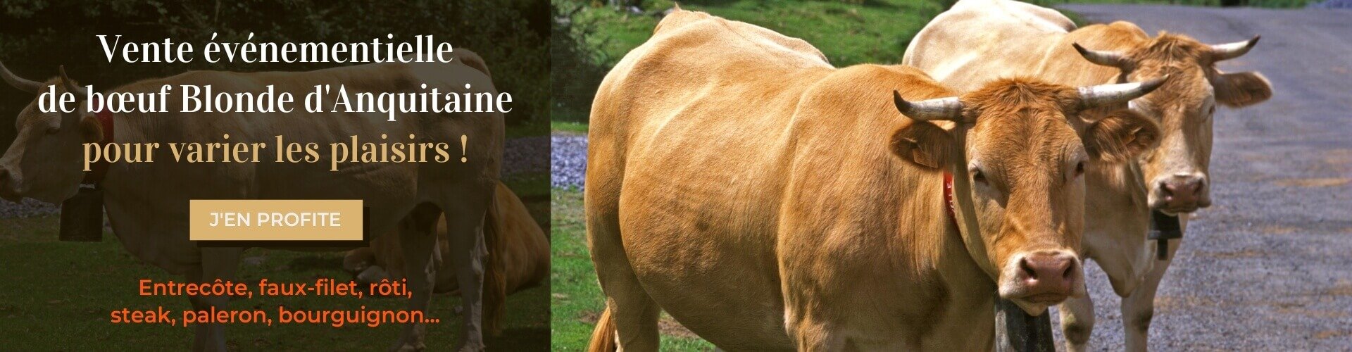 Blonde d'aquitaine
